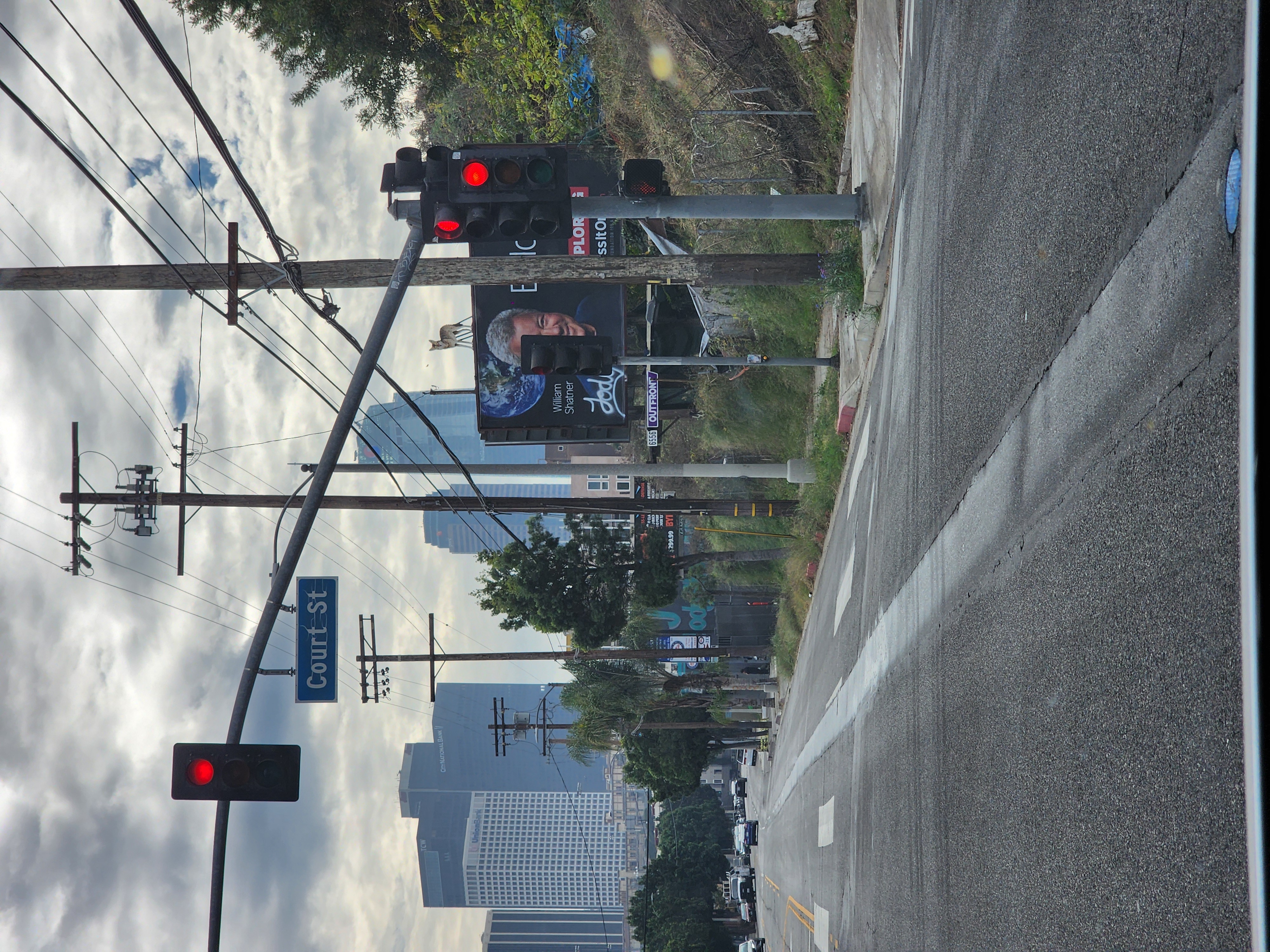 Billboard Coyote Installation — still 3