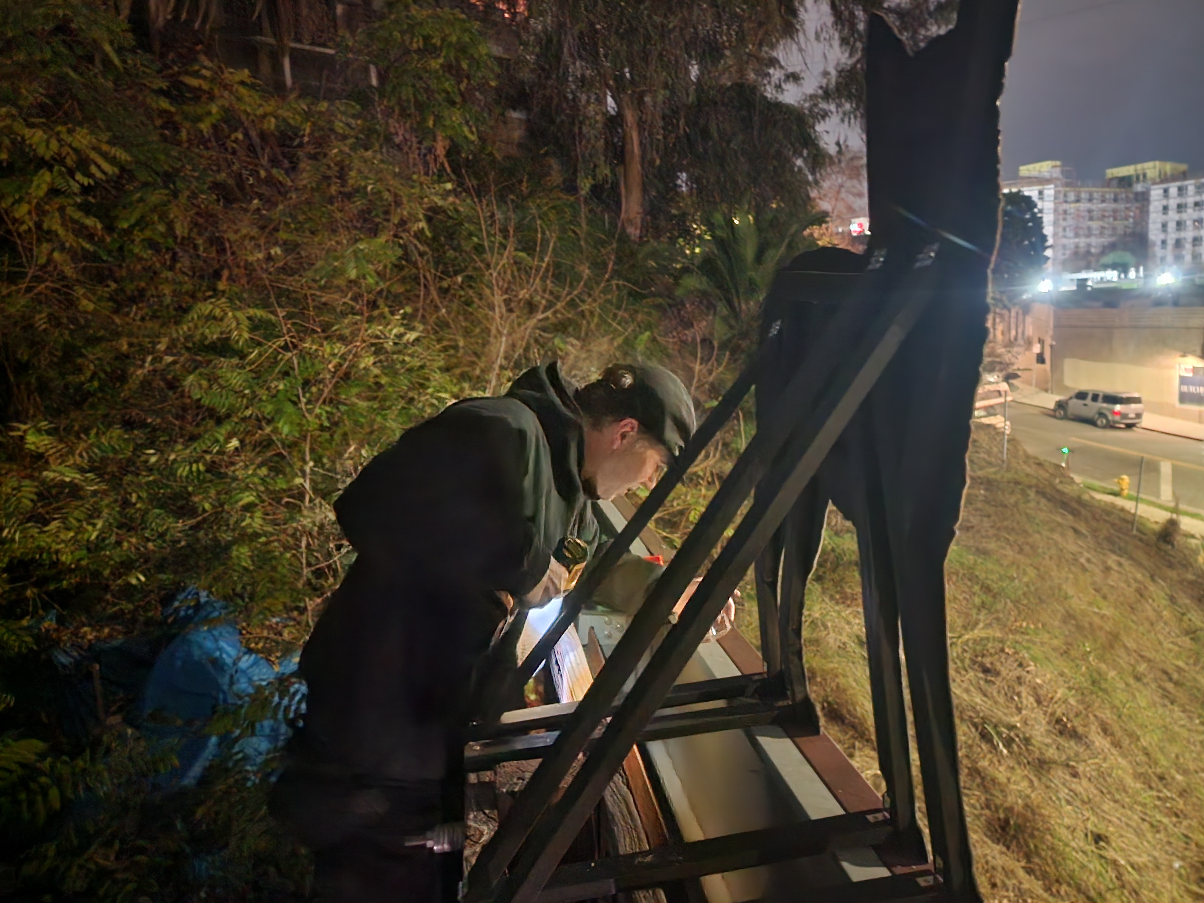 Billboard Coyote Installation — still 2
